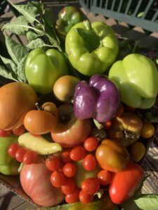 summer foods - garden fresh tomatoes and peppers